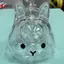 Hộp Bảo Quản Tóc Thỏ Mặt Dây Chuyền Móc Khóa Tóc Thú Cưng Hộp Lưu Niệm Thú Cưng Hộp Bộ Sưu Tập Tưởng Niệm Túi Mặt Dây Chuyền DIY Trang Trí Quà Tặng VN
