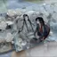 Yuandan Anime Cangxue Lin Suba Lan Wangji Wei Wuxian Laser Tinplate Huy Hiệu Sáng Thổ Cẩm 75mm