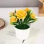 Mô Phỏng 5 Hoa Hồng Nhỏ Đồ Trang Trí Bằng Nhựa Trang Trí Nhà Cửa Mô Phỏng Chậu Cây Để Bàn Chụp Hoa Hồng Chậu Cây