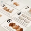 Bảng chữ cái Flashcards ABCD Thẻ học tập giáo dục cho trẻ em Quà tặng lễ Phục sinh Quà tặng giáo dục