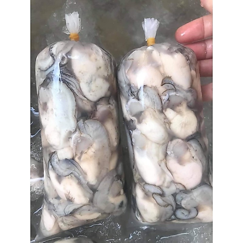 Hàu sữa tách vỏ tươi ngon bịch 500g luôn nước (giao hỏa tốc TPHCM)