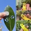 Pet Paw In Dập Nổi Tem Cho Tự Làm Nghệ Thuật Động Vật Độc Đáo Công Cụ Dập Dấu Chân Cho Quà Tặng Handmade Tùy Chỉnh