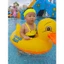 Vòng Bơi Cho Bé Ngồi Rhubarb Vịt Trắng Thiên Nga Nách Vòng Chống Nắng Cho Bé Mái hiên Flamingo Ghế Đi Biển