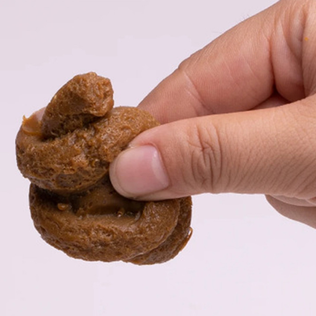 Ngộ nghĩnh Prank Giả Dogshit Đồ Chơi Sáng Tạo Thú Vị Dogshit Đồ Chơi Trẻ Em Người Lớn Lo Âu Đồ Chơi Giảm Căng Thẳng