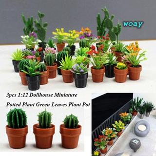WOAY 3 Cây Chậu Thu Nhỏ Nhà Búp Bê, Nồi Cây Lá Xanh Mini 1: 12, Nhiều Kiểu Vườn Cây Cảnh Mô Hình Nhà Búp Bê Phụ Kiện Nhà Búp Bê