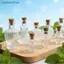 Bình thủy tinh SRVN Trang trí nhà búp bê thu nhỏ Chai hương liệu DIY Thủ công thủy tinh trong suốt để trưng bày để bàn hoặc kệ.