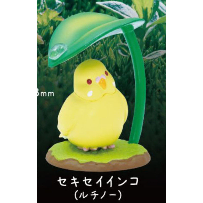 [BTF] Hàng có sẵn Đồ chơi viên nang QUALIA Nhật Bản Ngày mưa giấu chim mưa 2 đồ trang trí Vẹt Toucan D52B