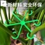 Hỗ trợ cây trồng Monstera - Giá đỡ lò xo chống rơi cho chậu hoa làm vườn xanh