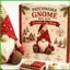 Bộ Gnome DIY Hoàn chỉnh Trang trí nội thất dễ thương Tạo Gnome cho người mới bắt đầu của riêng bạn dành cho người lớn Phụ nữ Trẻ em Gia đình Thủ công saixit2vn