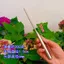 Loose Earth Handy Tool Hộ Gia Đình Chậu Hoa Rời Đất Nĩa Đào Đất Dụng Cụ Hai Chiều Thép Không Gỉ Chắc Chắn Một Chiều Phong Cách Mới Không Rỉ Sét