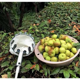 vợt đầu sào hái trái cây trên cao,dụng cụ hái trái cây