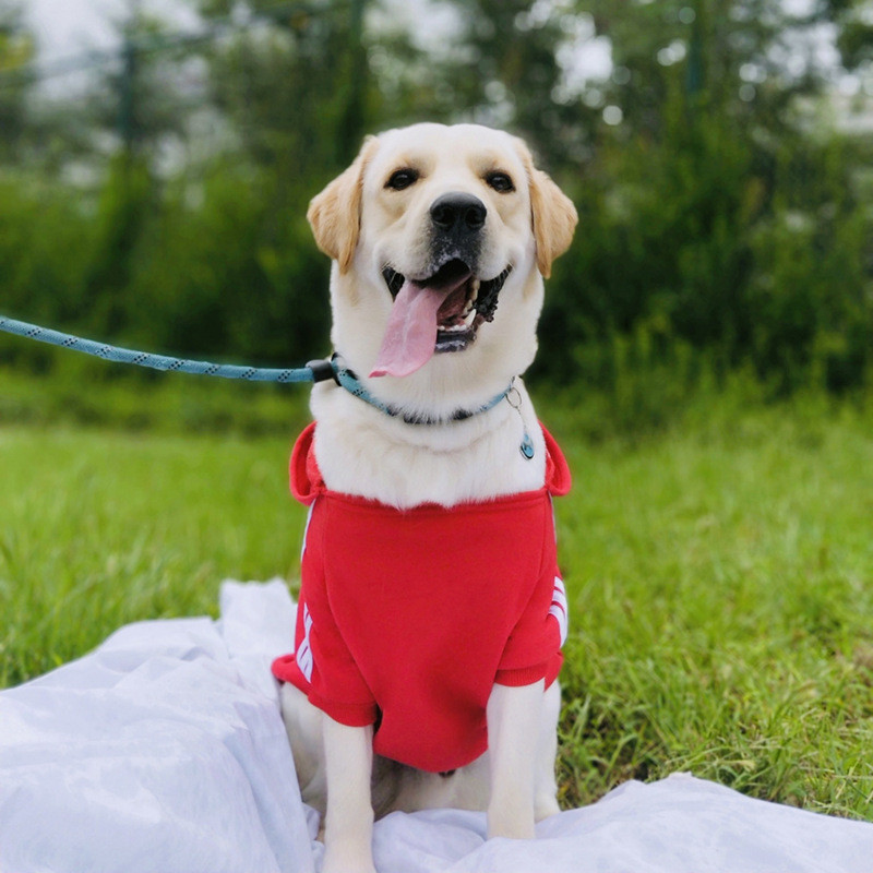 【Ready Stock】 Large Dog Clothes Golden Retriever Labrador Medium-Sized Dog Puppy Dog Clothes Sweater Fall Winter Sweater KvTE