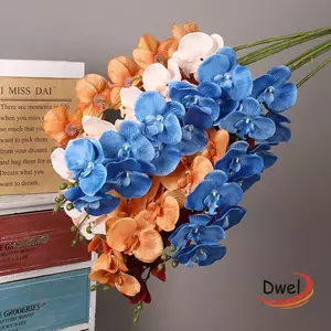 DWEL Phalaenopsis Hoa Lụa Cung Cấp Nhà Cây Cảm Ứng Thật