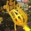 Bayberry Hand-Picked Bayberry Tool Máy hái trái cây ép trái cây có thể thu vào có thể thu vào bằng tay Kéo ép trái cây Loquat