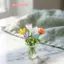 Hoa thủy tinh mô phỏng nhân tạo 6 chiếc 7 chiếc Hoa giả thực tế cho quà tặng trang trí nhà cửa hoặc văn phòng hiện đại