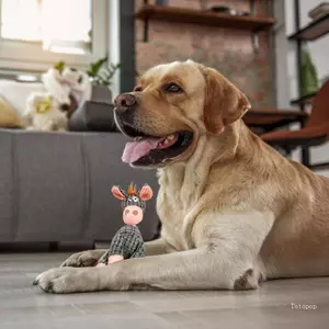 Phần thưởng tương tác hàng đầu Đồ chơi răng hàm cho chó con Làm sạch răng Nhai Đồ chơi làm sạch răng
