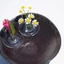 Giá đỡ trưng bày hoa nổi GILL, Sắp xếp hoa DIY Giá đỡ sắp xếp hoa nổi, Hộp đựng hoa thủy canh Dụng cụ sắp xếp hoa nổi