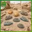SWEET 3 / 4 / 8 Chiếc Thực Tế Mini Fossil Model Micro Phong Cảnh Để Bàn Trang Trí Đồ Trang Trí, Nhà, Bàn Cát / Cây Cảnh / Đạo Cụ Chụp Ảnh n