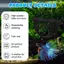 Hang nổi Betta Hide & Tôm – Hammo bể cá 3 trong 1, Vòng ăn nổi & Điểm nghỉ ngơi – Trang trí cá Betta in 3D MỚI