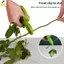 < YEI > Dụng cụ loại bỏ hoa Pri Dụng cụ loại bỏ hoa nghệ thuật và cửa hàng hoa Kéo cắt tỉa hoa gia dụng Kéo cắt tỉa hoa mới
