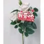 Ngày Lễ Tình Nhân Sáng Tạo Thiệp Chúc Mừng Hoạt Hình Đơn Giản Thẻ Hoa Trang Trí 520 Tanabata Thẻ Xưng Tội Hoa Cửa Hàng Tiếp Liệu 6.26