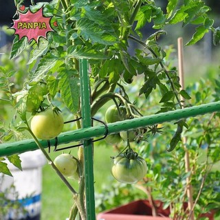 [PNPIA] 20 Chiếc Kẹp Trellis Sân Vườn Kim Loại Cây Nho Cọc Kết Nối Khung Leo Khóa Cho Cà Chua Dưa Chuột Rau Hỗ Trợ VN