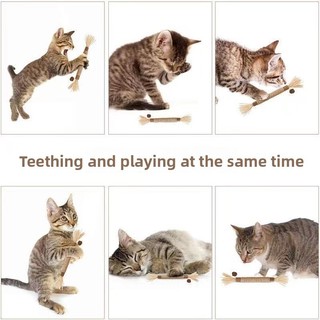 Cat Molar Stick Self-Happy Boredom Công cụ tiện dụng