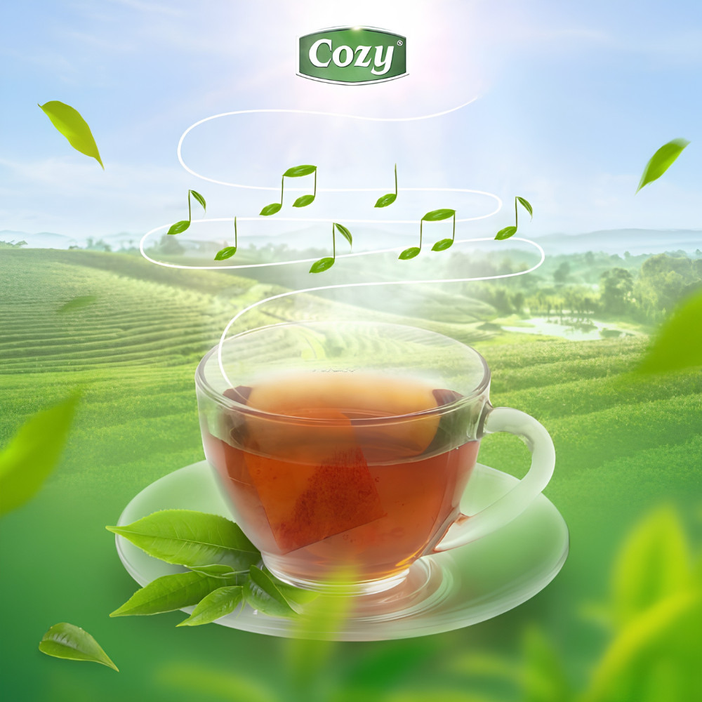 Trà Quế Cozy 50g Gồm 25 gói x 2g, Đậm Đà, Ấm Áp Thơm Vị Quế
