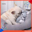 Đồ chơi chó con Kết cấu mềm Thỏ dễ thương Mô phỏng nhịp tim Chống cắn Tương tác cảm xúc Thoải mái có thể giặt được Đồ chơi sang trọng tương tác cho thú cưng có thể giặt được