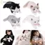 EDIWANY Mô Phỏng Mèo Sang Trọng Đồ Chơi, Có Yếm Lông Tơ Ragdoll Mèo Sang Trọng Búp Bê, Lồng Tiếng Hoạt Hình Dễ Thương Mô Phỏng Mềm Mô Phỏng Mô Hình Mèo Con Quà Tặng Sinh Nhật