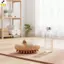 < YEI > Bộ 4 Bộ Làm Đẹp Chuyên Nghiệp Bằng Thép Không Gỉ Cho Chăm Sóc Lông Mày Chính Xác Thường Ngày Tẩy Lông Mới