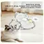 Nam châm lưu trữ lông thú cưng dễ thương bằng Acrylic trong suốt để trang trí nội thất hiện đại