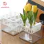 Hộp đựng thủy canh PWSEND, Chậu hoa thủy canh Acrylic Tulip, chắc chắn với giỏ hỗ trợ thoáng khí Chậu trồng thủy canh Trang trí nhà cửa