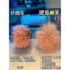 cọ tán má hồng cọ đánh má hồng kem má hồng Hàng có sẵn màu trắng đỏ đẹp mắt!Blush Brush Pure Wool Dot Color Brush Đồng phục tự nhiên Độ dốc ngón tay Bàn chải trang điểm bụng
