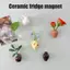 Bình gốm Mini Nam châm tủ lạnh 3D Micro cảnh quan Chậu cây để trang trí tủ lạnh Phụ kiện bàn làm việc dễ thương [VN]