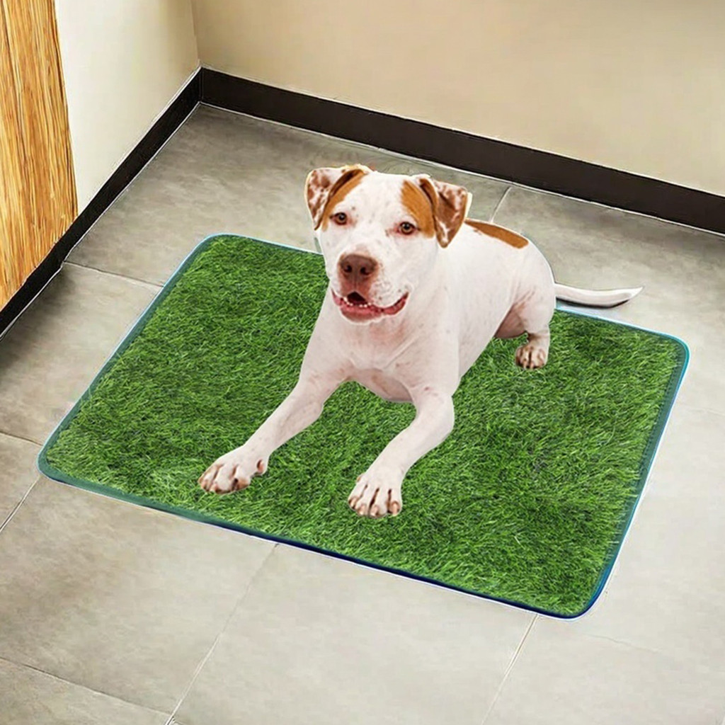 Cỏ nhân tạo Puppy Pee Pad Có thể giặt được Huấn luyện bô thay thế cho chó và thú cưng nhỏ