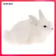 14x21cm Thỏ Tượng Vườn Tượng Tượng Tượng Tượng Tượng Phục Sinh Trang Trí Bãi Cỏ