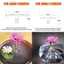 Giá đỡ sắp xếp hoa nổi ITRUMPET, Giá đỡ trưng bày hoa nổi DIY, Hộp đựng hoa thủy canh Dụng cụ sắp xếp hoa nổi Bát hoa nổi