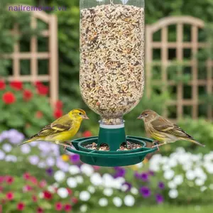 Khay treo màu xanh đậm cho chim ăn bằng nhựa di động tự động cho chim ăn ngoài trời Sân vườn Ban công Phụ kiện cho ăn MỚI
