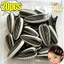 5-20 Kẹp Tóc Hạt Hướng Dương Mini - Dành Cho Nữ Bé Gái - Phụ Kiện Tóc - Kẹp Tóc Hạt Dưa Mô Phỏng Vui Nhộn - Kẹp Mỏ Vịt Side Bangs / Giao Hàng Miễn Phí