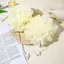 Khăn tắm 2 trong 1 Loofah có dây rút đóng cửa cho xà phòng Lưới tẩy tế bào chết mềm Vòi hoa sen Bọt biển Chăm sóc da Dụng cụ tắm
