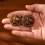 AqToCna Vintage Moth Đinh Bông Tai Cho Người Phụ Nữ Thủy Tinh Ong Cổ Màu Vàng Sang Trọng Chất Lượng Trang Sức Tiệc Cưới Phụ Kiện AqToCna