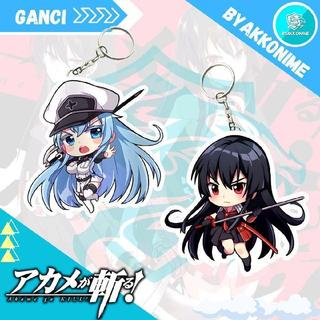 Keychain Acrylic Anime Akame Ga Kill - Akame, Esdeath Ganci Anime Akrilik - Akame