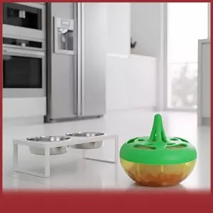 Cá tuyết hộ gia đình bay mồi & bẫy cho nhà bếp trong nhà trái cây ruồi & muỗi