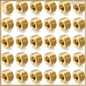 Ổ cắm ren lục giác bên trong 1 / 4 "Bộ lắp phích cắm ống nam NPT- 30 chiếc để kết thúc Bộ phích cắm ống đóng cửa lục giác