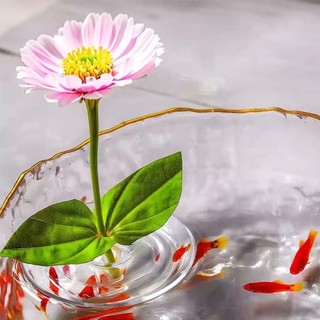 Giá đỡ trưng bày nổi ITRUMPET, dụng cụ sắp xếp hoa DIY, hộp đựng thủy canh, bát cắm hoa nổi