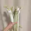 COD 1 Con Bò Sát Có Thể Uốn Cong Mô Phỏng Rắn Sang Trọng Trang Trí Nhà Cửa 40cm Thú Nhồi Bông Xanh Rắn Sang Trọng Búp Bê Bông Mềm Đồ Chơi Trang Trí MỚI