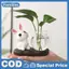 Thỏ Dễ Thương Bình Thủy Canh Bình Thủy Tinh Trong Suốt Bình Thủy Tinh Để Bàn Trang Trí Bình Hoa Thủy Sinh Có Đế Gỗ