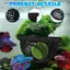 Hang nổi Betta Hide & Tôm – Hammo bể cá 3 trong 1, Vòng ăn nổi & Điểm nghỉ ngơi – Trang trí cá Betta in 3D MỚI