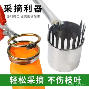 Công cụ đặc biệt để hái tiêu Tứ Xuyên Đa chức năng Tự động hái tiêu Tứ Xuyên Kéo Tiêu Tứ Xuyên Dụng cụ hái tiêu Tứ Xuyên Stab @ -